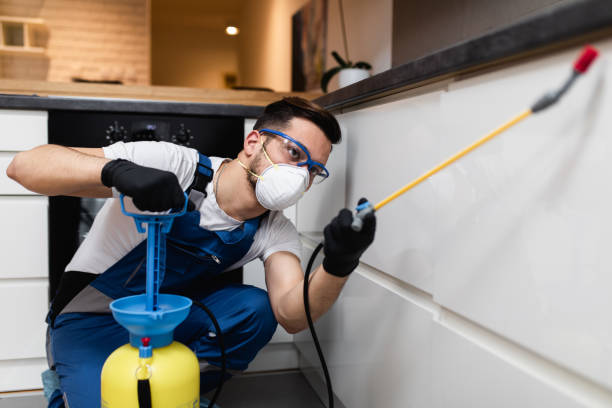 Best Best Pest Control Companies  in Centerville, OH