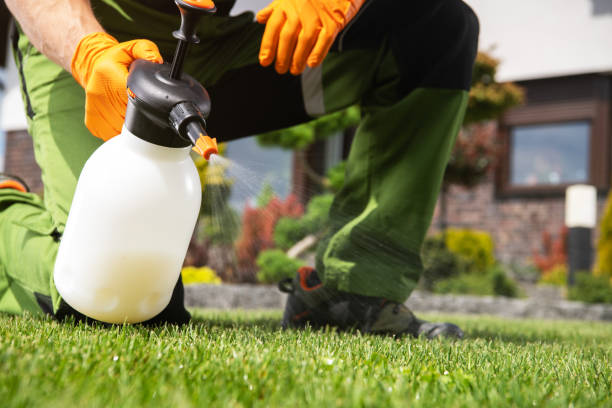 Bird Control in Centerville, OH