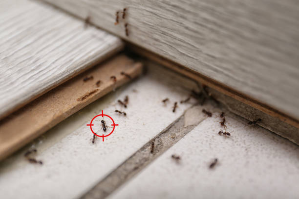 Best Commercial Pest Control Services  in Centerville, OH